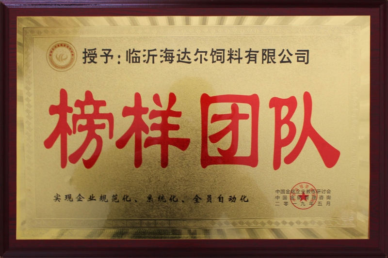 榜样团队